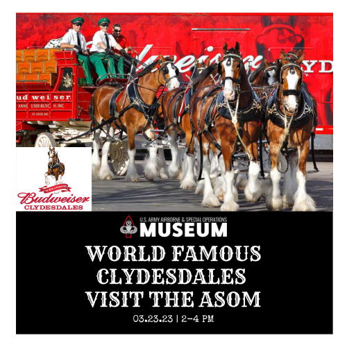 The Anheuser-Busch Clydesdale eight horse hitch makes its way